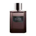 Bundle of Avon Elite Gentleman