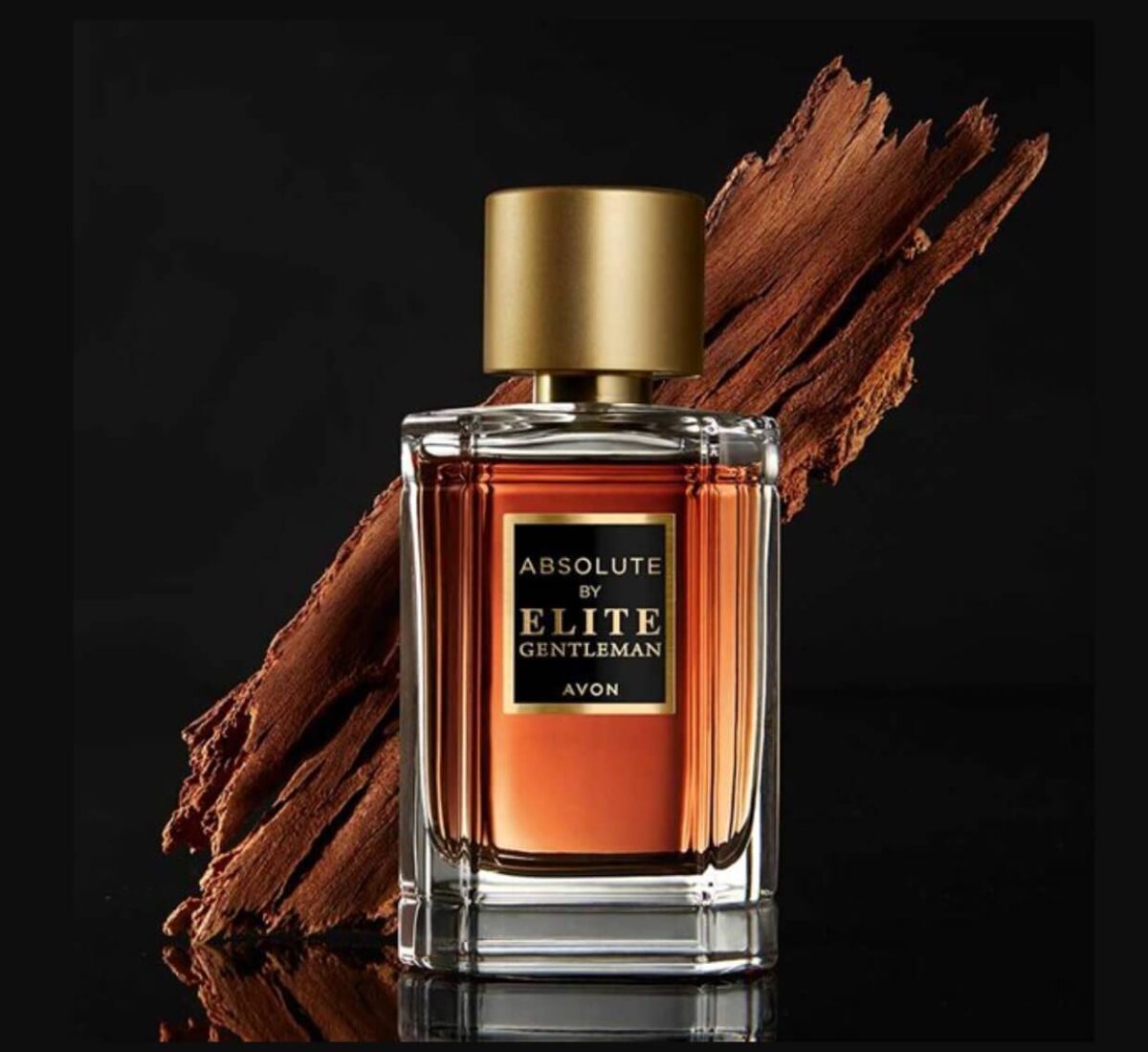 Absolute by Elite Gentleman Eau de Toilette 75ML 1